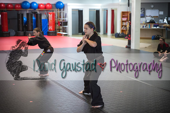 Midwest Professional Karate Black Belt Test 2016