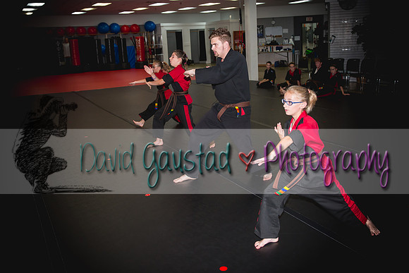 Midwest Professional Karate Black Belt Test 2016