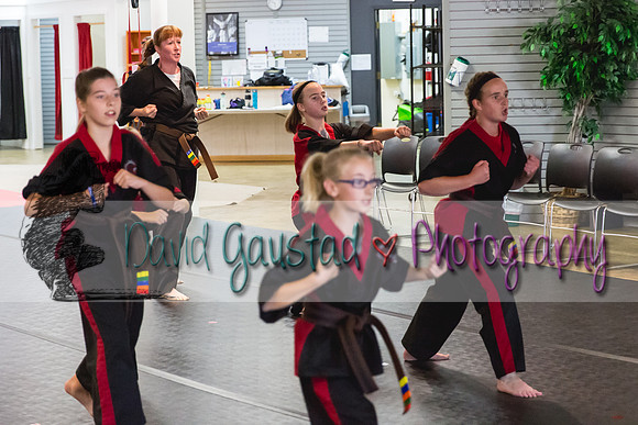 Midwest Professional Karate Black Belt Test 2016