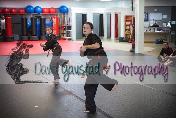 Midwest Professional Karate Black Belt Test 2016
