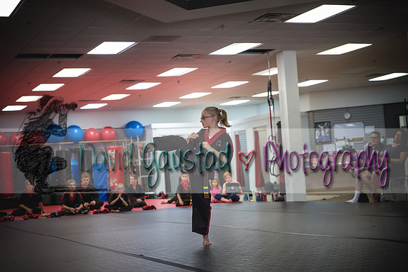 Midwest Professional Karate Black Belt Test 2016