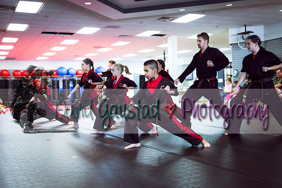 Midwest Professional Karate Black Belt Test 2016