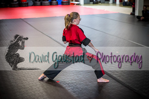 Midwest Professional Karate Black Belt Test 2016
