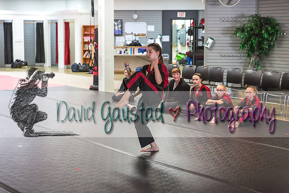 Midwest Professional Karate Black Belt Test 2016