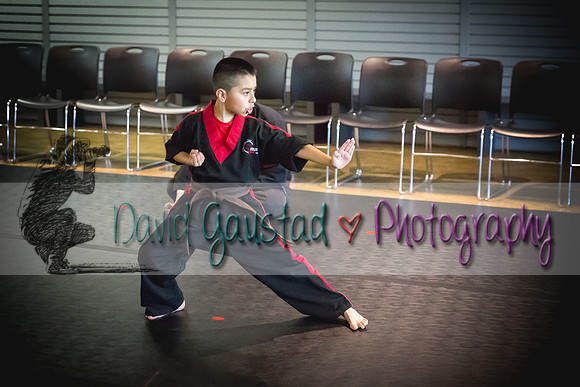 Midwest Professional Karate Black Belt Test 2016