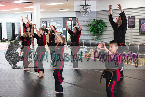 Midwest Professional Karate Black Belt Test 2016