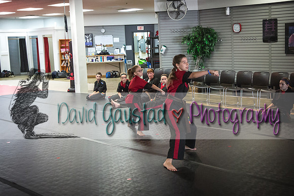Midwest Professional Karate Black Belt Test 2016