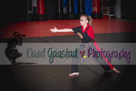 Midwest Professional Karate Black Belt Test 2016