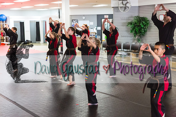 Midwest Professional Karate Black Belt Test 2016