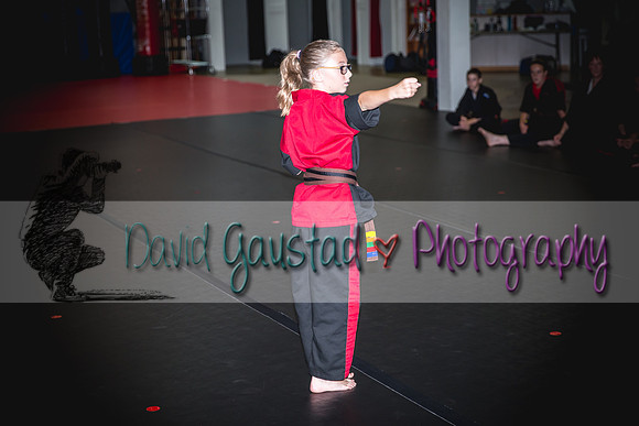 Midwest Professional Karate Black Belt Test 2016