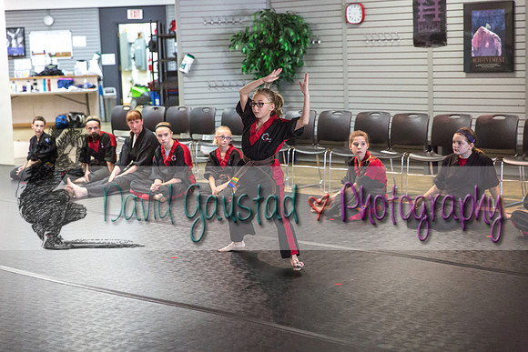 Midwest Professional Karate Black Belt Test 2016