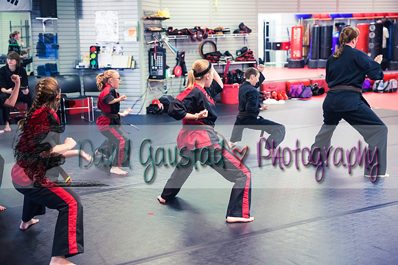 Midwest Professional Karate Black Belt Test 2016
