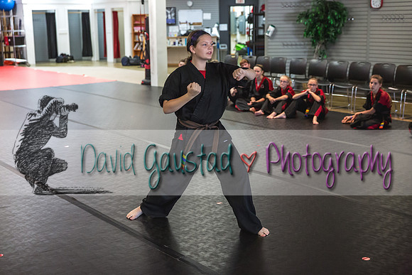 Midwest Professional Karate Black Belt Test 2016