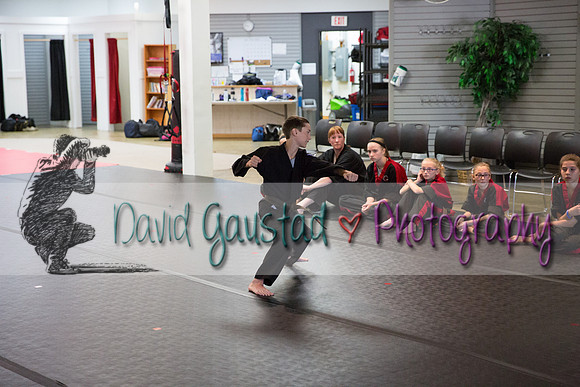 Midwest Professional Karate Black Belt Test 2016