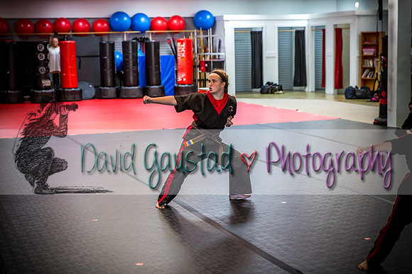 Midwest Professional Karate Black Belt Test 2016
