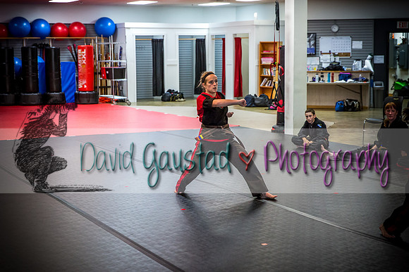 Midwest Professional Karate Black Belt Test 2016