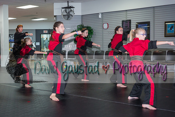 Midwest Professional Karate Black Belt Test 2016