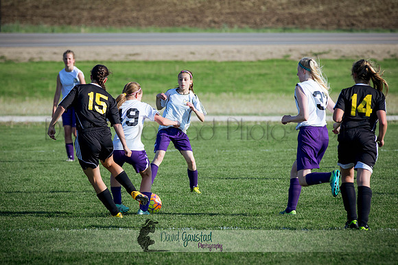 DeForest Norski soccer vs Rock on 5/21/2016