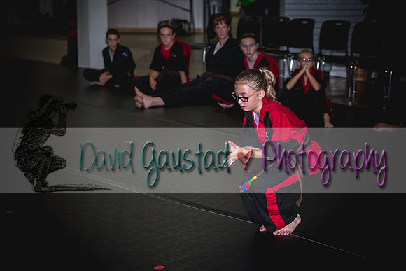 Midwest Professional Karate Black Belt Test 2016