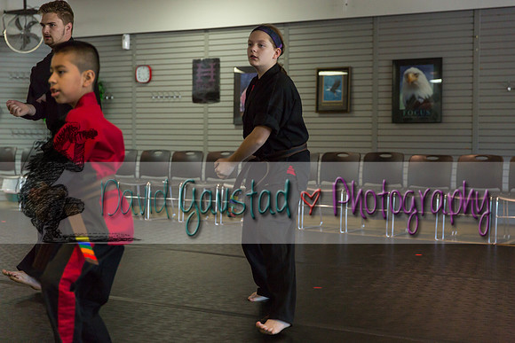 Midwest Professional Karate Black Belt Test 2016