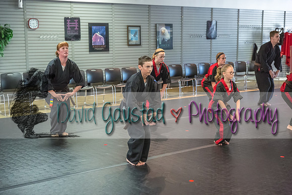 Midwest Professional Karate Black Belt Test 2016