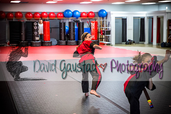 Midwest Professional Karate Black Belt Test 2016
