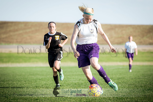DeForest Norski soccer vs Rock on 5/21/2016