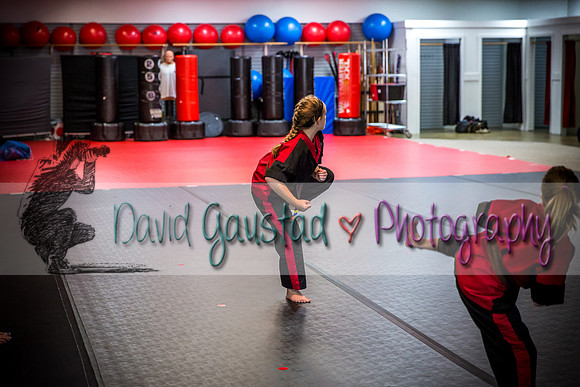 Midwest Professional Karate Black Belt Test 2016