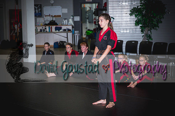 Midwest Professional Karate Black Belt Test 2016