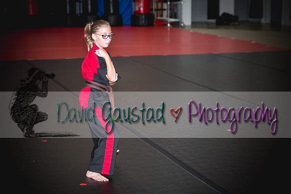 Midwest Professional Karate Black Belt Test 2016