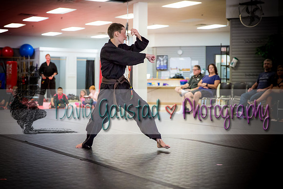 Midwest Professional Karate Black Belt Test 2016
