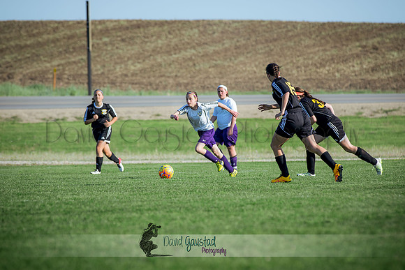 DeForest Norski soccer vs Rock on 5/21/2016