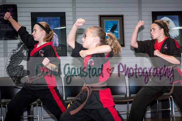 Midwest Professional Karate Black Belt Test 2016