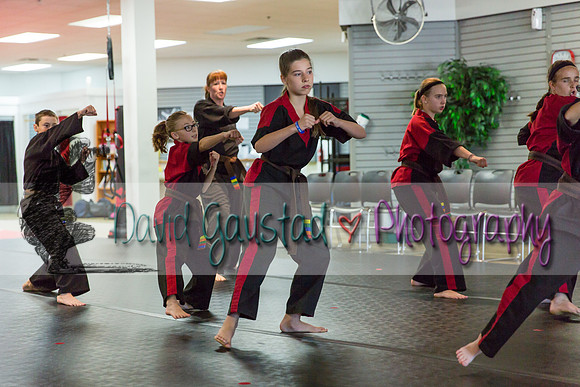 Midwest Professional Karate Black Belt Test 2016