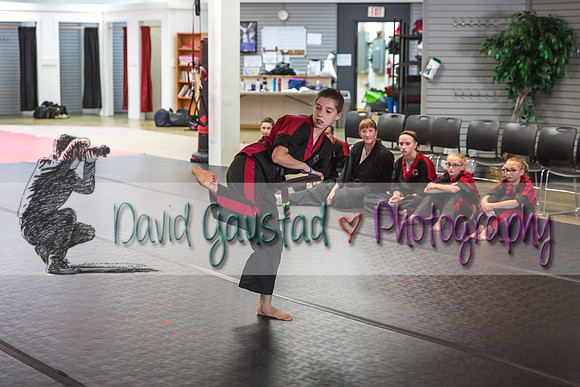 Midwest Professional Karate Black Belt Test 2016