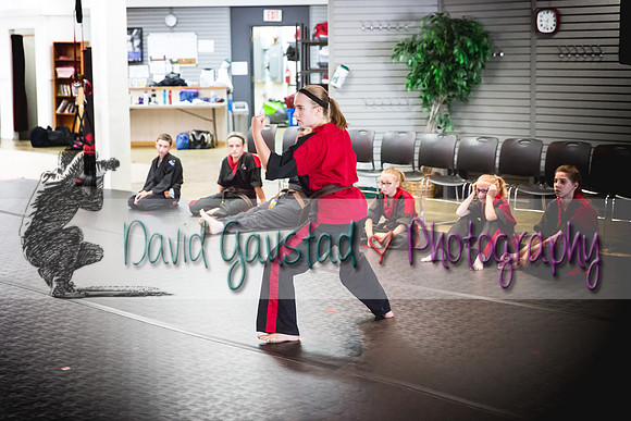 Midwest Professional Karate Black Belt Test 2016