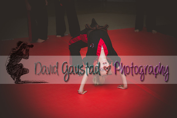 Midwest Professional Karate Black Belt Test 2016