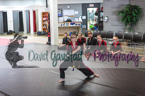 Midwest Professional Karate Black Belt Test 2016