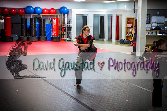 Midwest Professional Karate Black Belt Test 2016