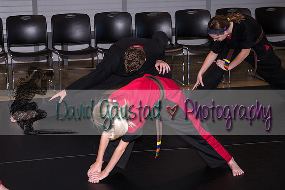 Midwest Professional Karate Black Belt Test 2016