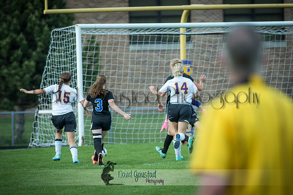DeForest Girls JV Soccer vs Lodi on May 24th 2016
