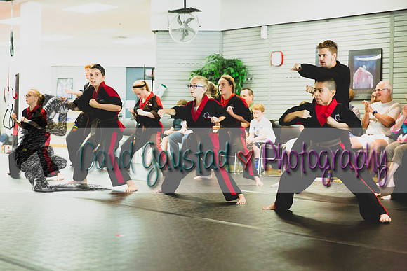 Midwest Professional Karate Black Belt Test 2016