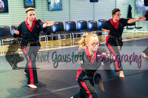 Midwest Professional Karate Black Belt Test 2016