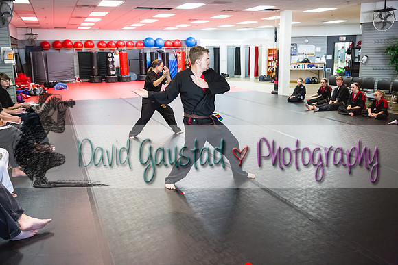 Midwest Professional Karate Black Belt Test 2016