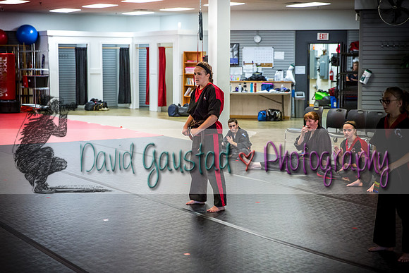 Midwest Professional Karate Black Belt Test 2016