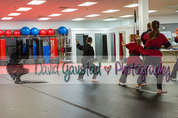Midwest Professional Karate Black Belt Test 2016
