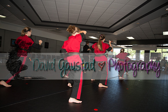 Midwest Professional Karate Black Belt Test 2016