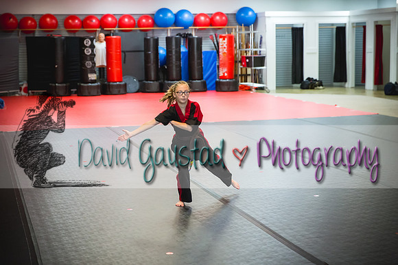 Midwest Professional Karate Black Belt Test 2016