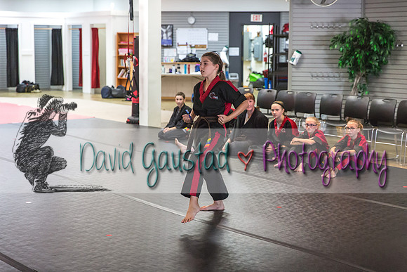 Midwest Professional Karate Black Belt Test 2016