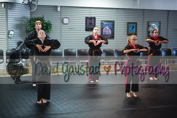 Midwest Professional Karate Black Belt Test 2016